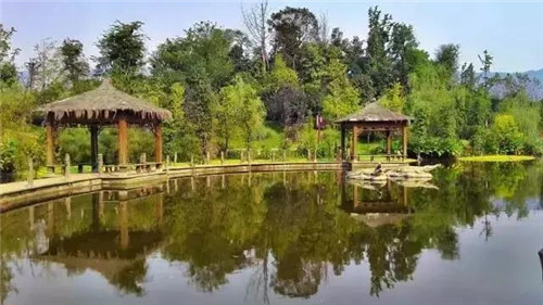 重庆最美五大湿地公园