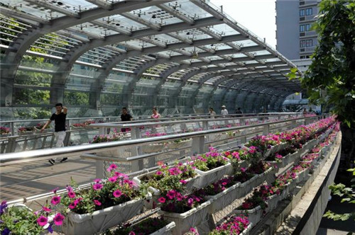 陕西西安打造靓丽新北城 市民点赞立体绿化