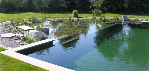 Natural swimming pool　打造夏日生态泳池