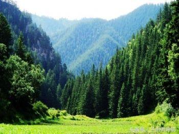 夏日旅游胜地——吐鲁沟国家4A级森林公园