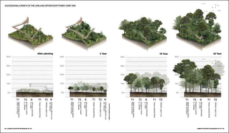 ASLA景观设计荣誉奖项目——“城市森林”