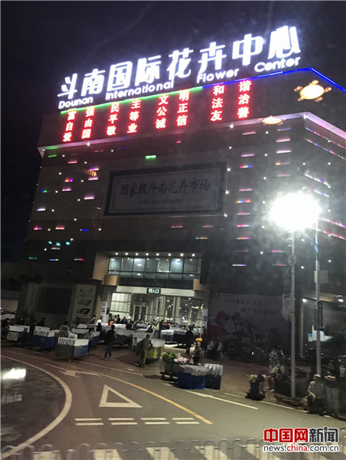 探访亚洲最大花卉交易市场昆明斗南花市
