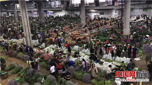走进云南昆明 探访亚洲最大的花卉交易市场斗南花市