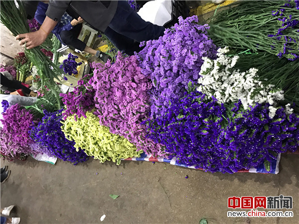 走进云南昆明 探访亚洲最大的花卉交易市场斗南花市