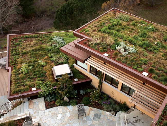 绿色屋顶美学观念的转变及其实践