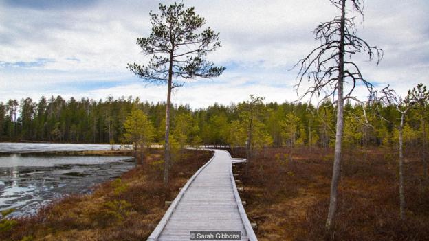 在芬兰的国家公园 体验人与自然共处之道