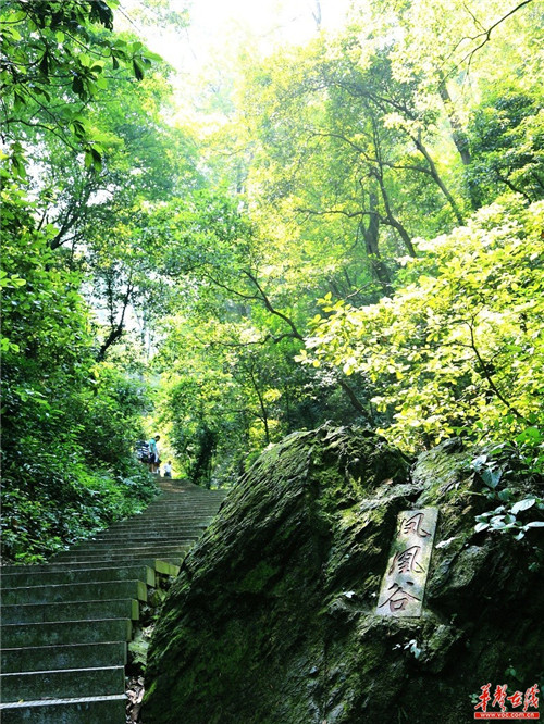 湖南衡南岐山森林公园晋升国家级森林公园