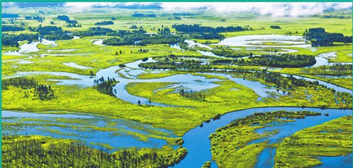 黑龙江省形成全国最大湿地保护体系