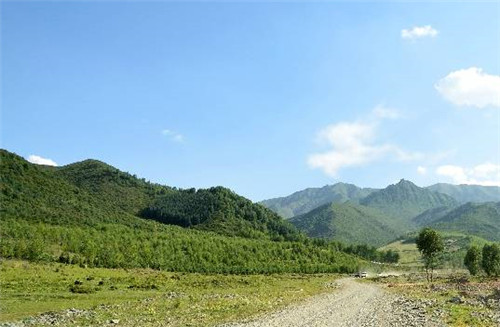 青海最美森林公园
