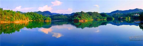 四川蓬安国家森林公园通过专家评审
