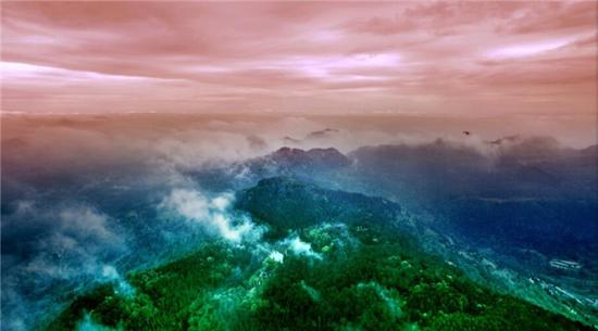 四川蓬安国家森林公园通过专家评审