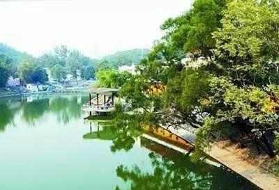 深圳——公园密度最高的一座城市