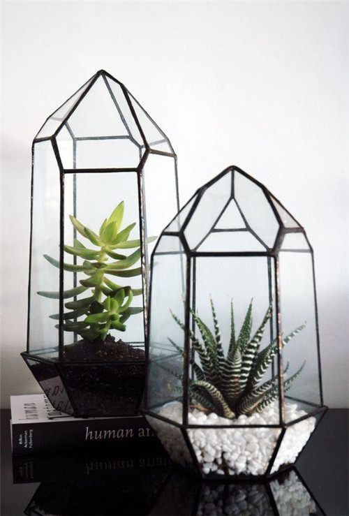 植物美学中的微景观玻璃花房