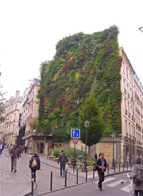 从雨林崖壁到城市绿洲 卢浮宫旁的垂直花园 