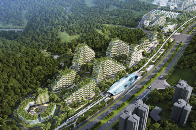 广西将建第一座森林城市