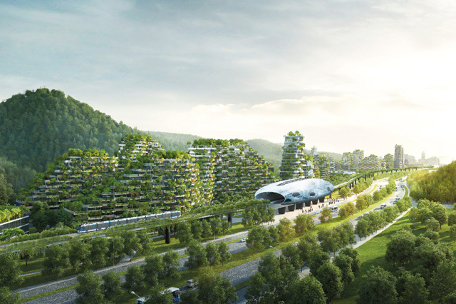 广西将建第一座森林城市