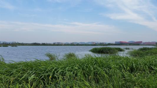安徽铜陵－西湖湿地公园成为国家级城市湿地公园