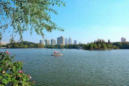 上海长风公园景观改造 6500株绣球花争相斗艳