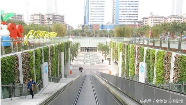 为什么要大力推行城市建设立体绿化
