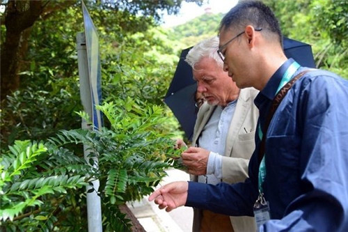 澳大利亚植物学家访问梧桐山风景名胜区
