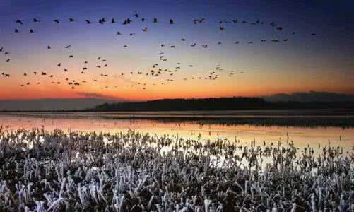 贵州获国家亿元资金补助　保护湿地20.97万公顷