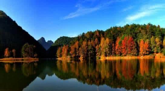 贵州获国家亿元资金补助　保护湿地20.97万公顷