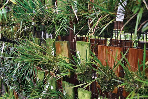 以更加自然地方式构建植物绿墙