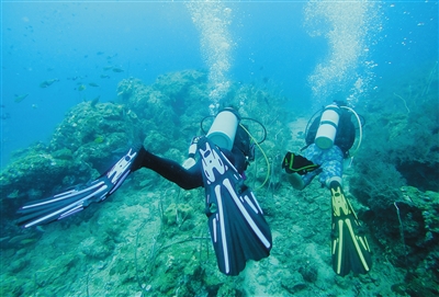三亚自然保护区珊瑚礁生态系统焕生机