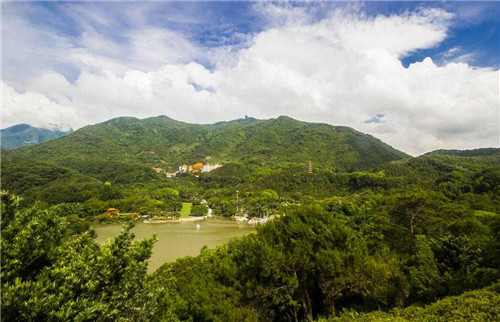 仙湖植物园是中国观赏植物研究的重要基地