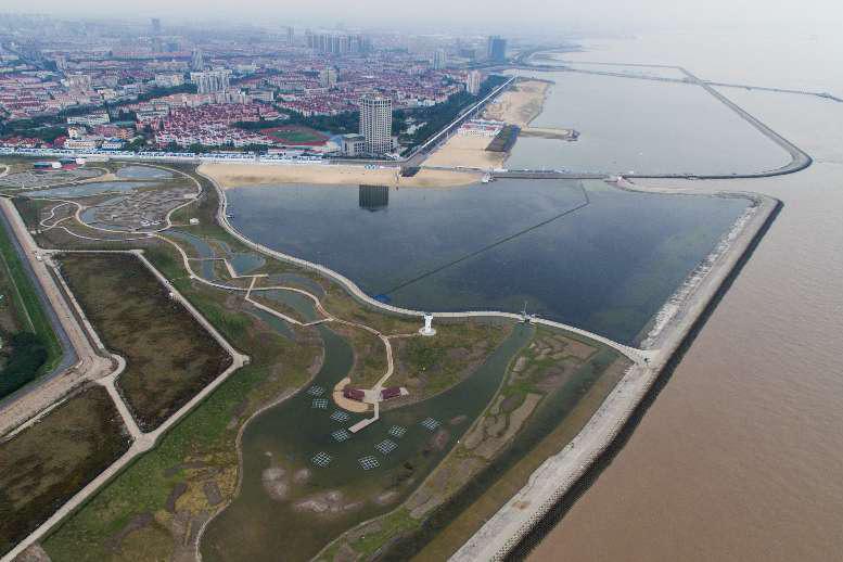 上海金山：“鹦鹉洲”湿地公园十月揭开面纱