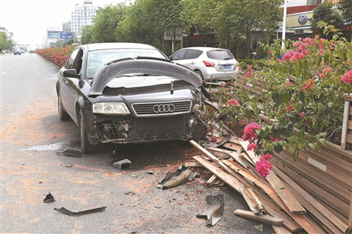 广西玉林：轿车撞绿化带 园林局索赔五万多