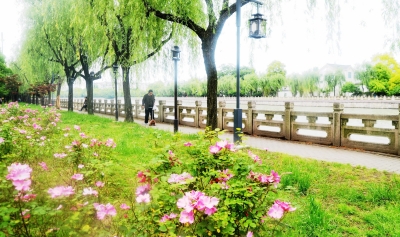 扬州规划历史城市大公园体系 推新设计概念