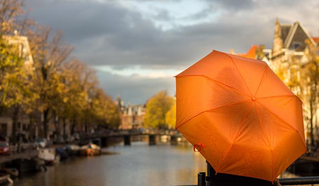 阿姆斯特丹整治雨水的新方法
