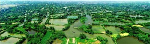 杭州城市金名片“西溪湿地”将复制到北京？