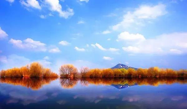 浙江美丽的湿地公园