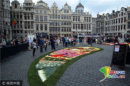 比利时“鲜花地毯”节