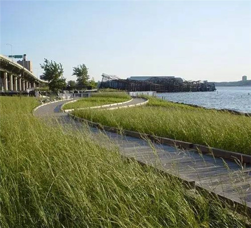 我们在设计滨水景观时在设计什么？