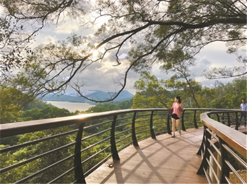 仙湖植物园景观换新颜吸引世界目光