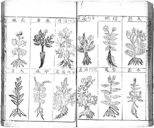 植物科学画，宜兴有名家