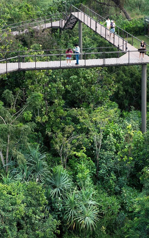 泰国城市森林项目让曼谷回归自然