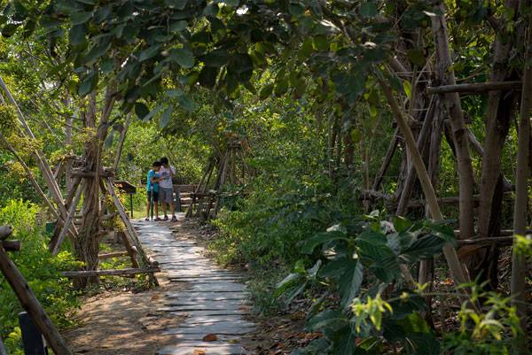 泰国城市森林项目让曼谷回归自然