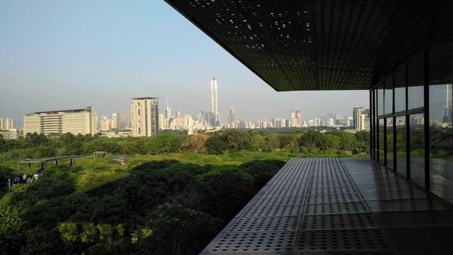 被媒体誉为深圳最美城市公园