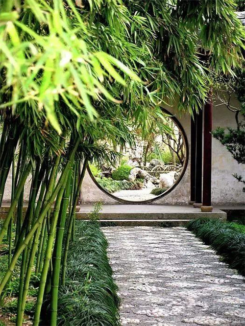 中式古典园林庭院景观竹韵