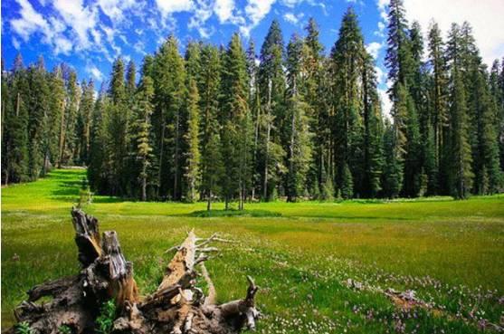 你知道美国加州的9个国家公园吗？