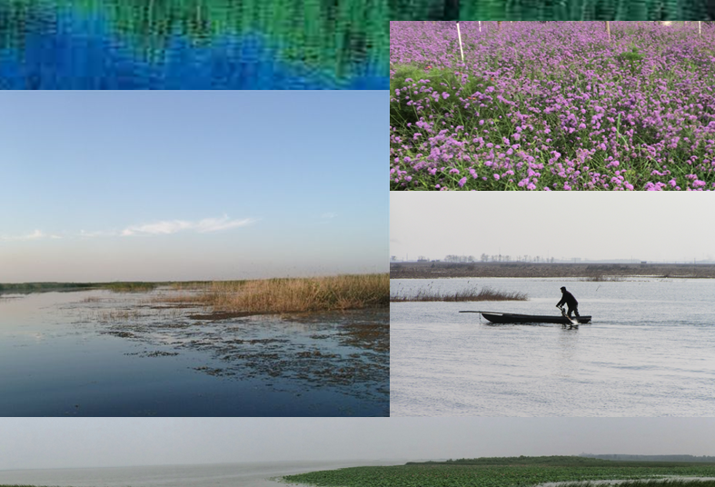 邓晓梅：衡水湖——如何谱写人与湿地的新篇章