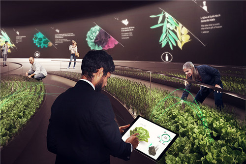 多伦多EDIT设计节新展 将自然带回城市空间