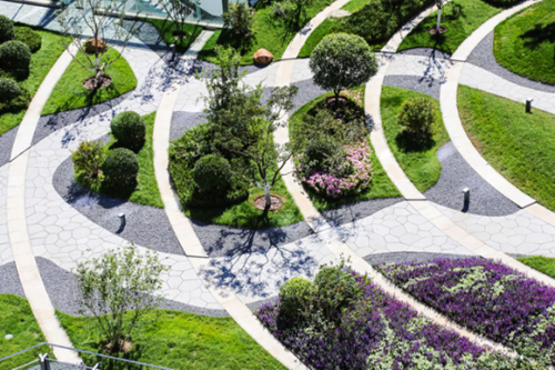 园冶杯参赛项目：泰康商学院庭院景观设计