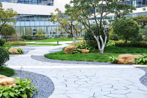 园冶杯专业奖：泰康商学院中心庭院景观设计