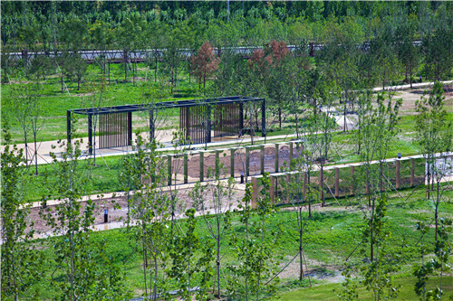 园冶杯项目：衡水威克多总部产业园景观计划