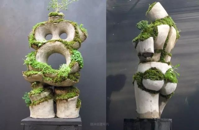 超有创意，是雕塑还是花盆？